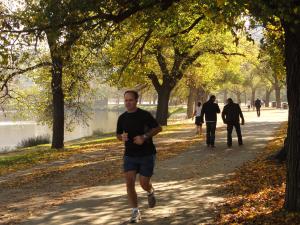 Walking path in Birrarung Marr