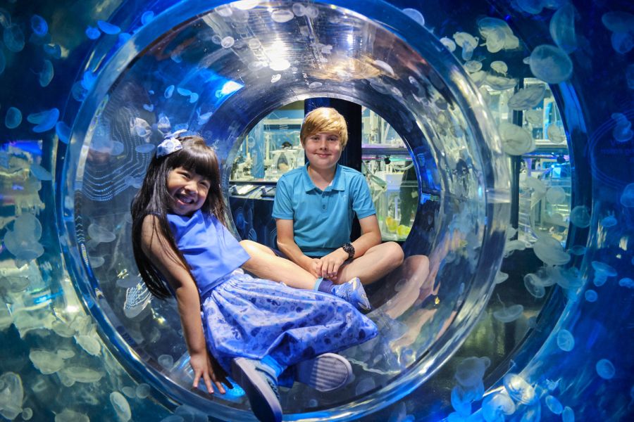 Kids love SEALife Melbourne